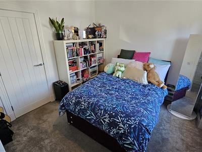 Picture 16